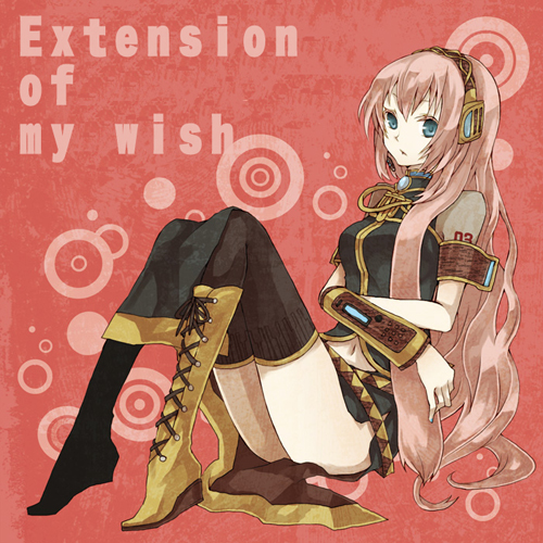 Extension-of-my-wish