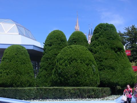 東京ディズニーランドの植木のデザインカット - その2