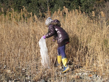 2014年1月11日（土）干潟清掃で「渡り鳥サポーターになろう！」⑤