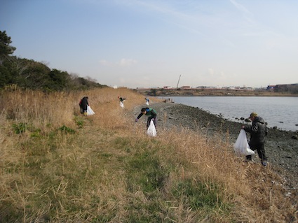 2014年2月1日（土）干潟清掃で「渡り鳥サポーターになろう！」⑤