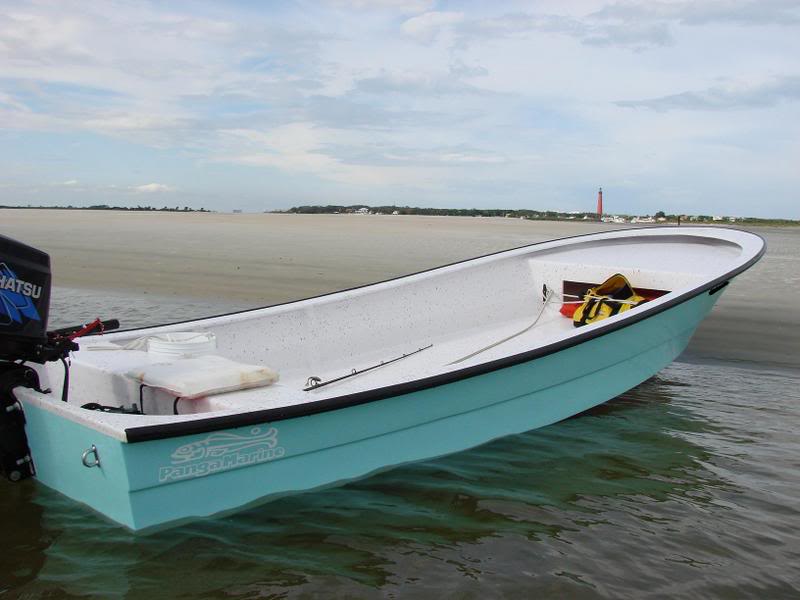 Panga Boat Plans Evolution in action-Galapagos Island Tours : Boat