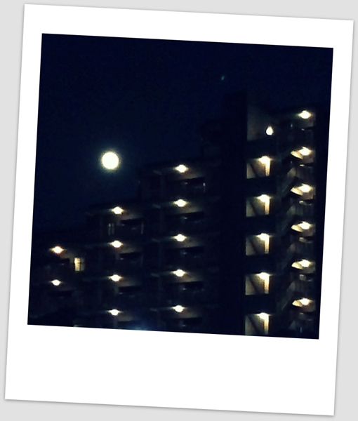 【Blue Moon】