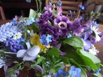 ：せい子の部屋青い花