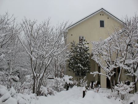2013　雪
