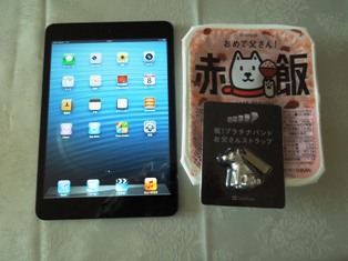 iPad mini　買っちゃた～！！
