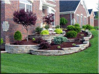 Bushes For Landscaping Healthy Gardening Landscaping Your Garden With Blueberry Bushes Are Easy And Delicious Landscape