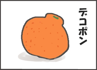 柑橘類③