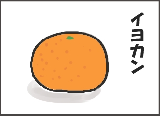 柑橘類②