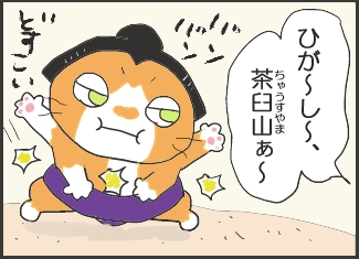 猫相撲①