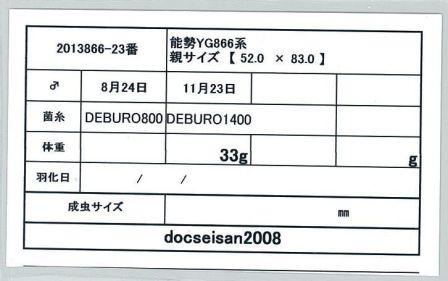 docseian2008-2013866-23card-up.jpg