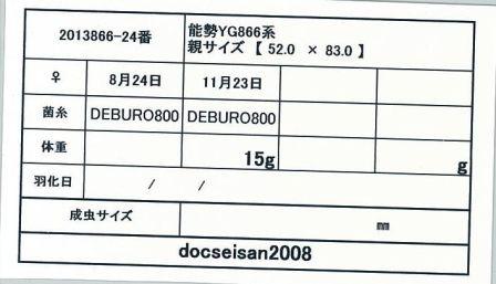 docseian2008-2013866-24card-up.jpg