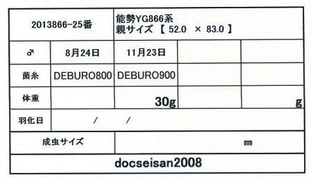 docseian2008-2013866-25card-up.jpg