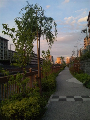 SBSH0317川沿いの遊歩道の風景_300.jpg