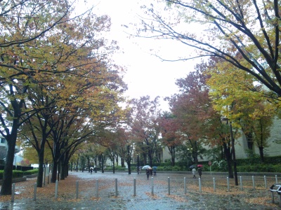 SBSH0270雨の代々木公園_400.jpg