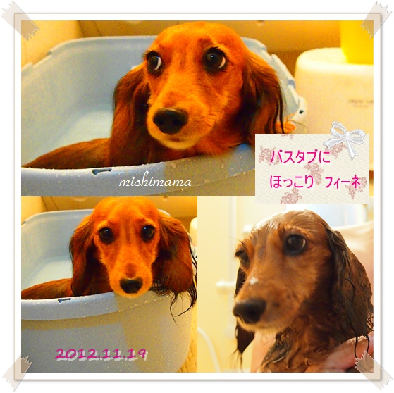 お風呂　ﾌｨｰﾈ　２