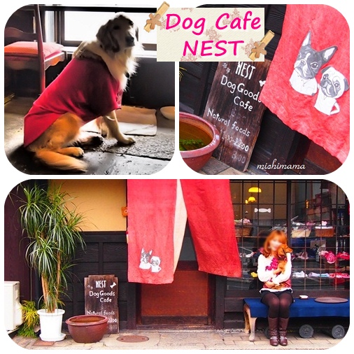 Dog Cafe NEST　１