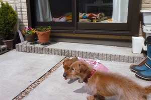 2012_0322_114138-P1100688