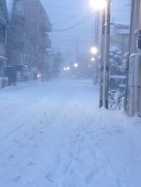 中野雪道２