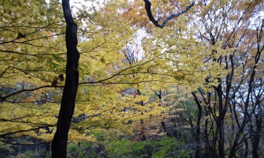 栃木再発見のぶらり旅・紅葉の那須♪温泉神社～殺生石⑦