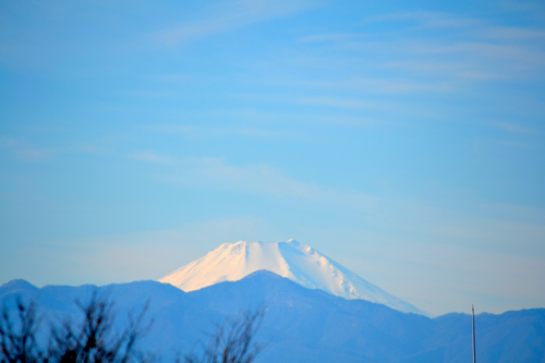 富士山を望む