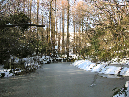 雪化粧の奥の池