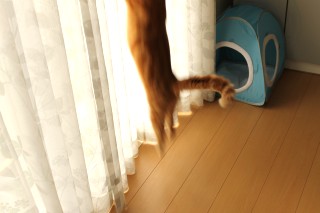 120806-2.jpg
