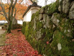 金剛輪寺　白壁と苔の生えた石垣と落ち葉