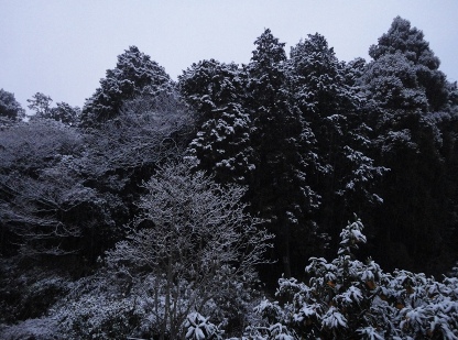 雪の鷺森