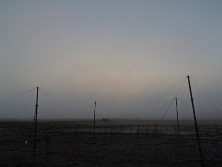 濃霧の朝
